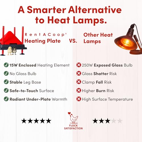 RentACoop 10x10” Heating Plate with Hard Anti-Roost Cone Set and Removable Comfort Feathers – Chick Brooder Heat Plate Warms Up to 15 Chicks – Energy Efficient - Safer Than Heat Lamps