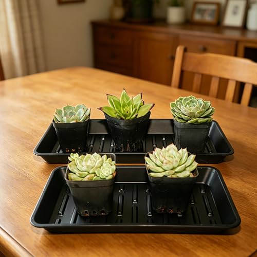 Plant Saucer Tray 6.5 x 13 Inch, Heavy Sturdy Long Narrow Plastic Plant Drainage Tray No Holes, Drip Tray for Pots, Seed Starter Growing Tray, Black - color: Black, size: 13" x 6.5" x 1.2" (6pack)