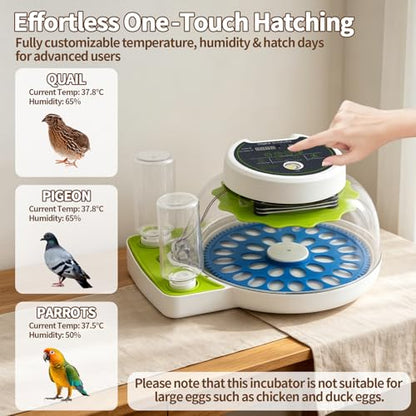 Quail Egg Incubator for Hatching 33 Quail Eggs with Automatic Turner & Humidity Control, Small Quails Brooder, Poultry Egg Incubator for Hatching Parrot Canarys Goose Pigeon in Home Farm - size: 33 Units