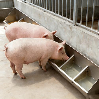 40in / 59in / 79in Livestock Feed Trough Heavy Duty Stainless Steel Pig Feeder, Separated Fence Feeder Trough with Visable Feed Design Thickened Multipurpose Trough Creep Feeder,Silver,100cm - size: 100cm
