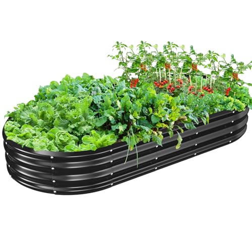 TBMLC Oval Galvanized Planter Box, Metal Raised Garden Bed - 0.8MM Thick- Ideal for Outdoor Gardening and Planting of Vegetables Flowers Fruits Succulent Plants and Others (Black, 6X3X1 FT) - color: Black, size: 6X3X1 FT