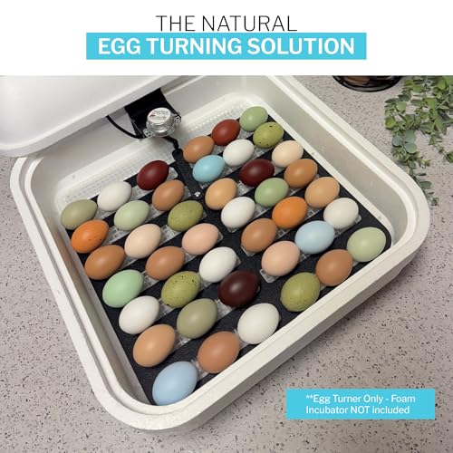 IncuTurn™ Automatic Egg Turner for HovaBator Incubators – Universal Egg Turner Tray for Chicken, Quail & Goose Eggs – Holds 42 Chicken 70 Quail 28 Goose Eggs (Turner Only)