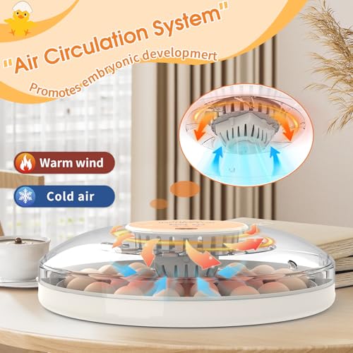 30 Egg Incubator with Automatic Egg Turning, Temperature Control and Humidity Monitor Incubators for Hatching Eggs, Chicken, Ducks, Goose, Pigeon, Quail, Parrot Incubator for Farm, Lab - size: 30-EGGS