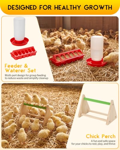 Magicfly Brooder Box for Chick with Heating Plate, 5-in-1 Chicks Starter Kit Includes Brooder Plate, Feeder, Waterer, Perch, Holds up to 15 Chicks, Ducks & Quail