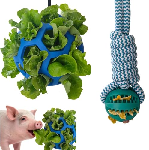 2PCS Pig Enrichment Toys, Mini Pig Supplies, Hanging Chew Ball with Rope + Replaceable Feeder Foraging Ball, Interactive Pig Enrichment Toy Set for Pigs, Treat Dispensing & Chew Activity Toy