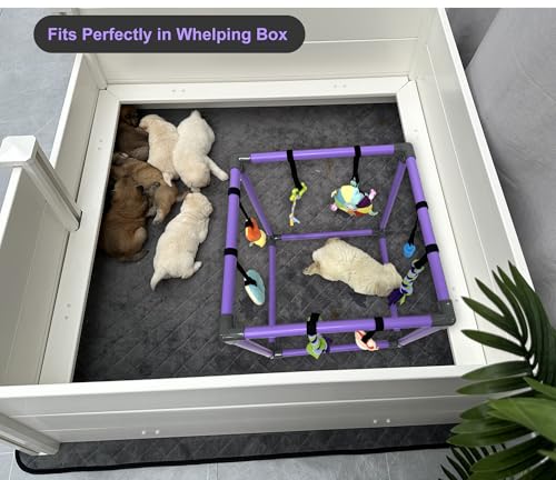 DOZZOPET Puppy Play Gym for Small Dogs with 8 Hanging Toys, Jungle Playground with Interactive Funny Enrichment Toys to Keep Them Busy