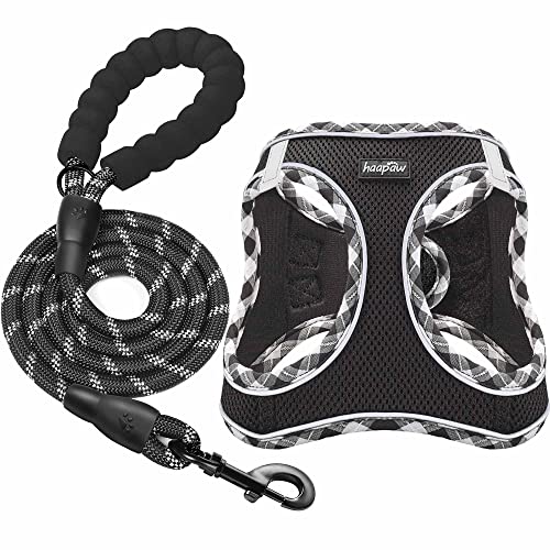 haapaw Dog Harness with Leash Set, No Pull Adjustable Reflective Step-in Puppy Harness with Thickened Padded Vest for Extra-Small/Small Medium Dogs - color: Black, size: XS