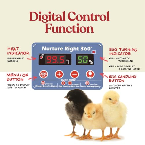 Harris Farms Nurture Right Egg Incubator for Hatching Chicks, Holds 12-22 Eggs, Automatic Turner with Temperature and Humidity Control, 360 Degree View with Clear Window, Incubator for Hatching Eggs