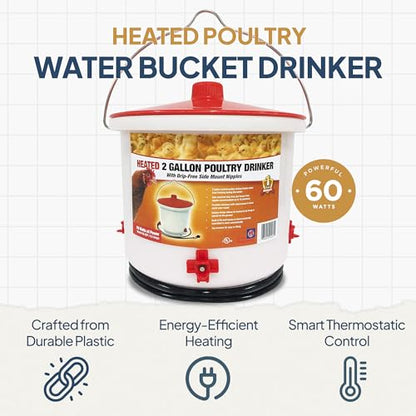 Farm Innovators 2 Pack Heated Chicken Waterer, Poultry Drinker Bucket, 2 Gallon - color: 2 Gallon, size: 2 Pack