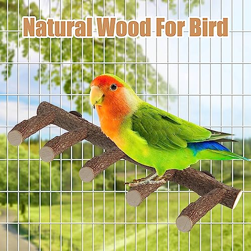 Parrot Wood Stand, Parrots Perch for Cage, Natural Bird Ladder for Small Medium Parrot, Parakeets, Cockatiels, Conures, Hamster(12.2 inch)
