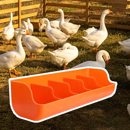 Small Multi-Compartment Poultry Feeder, 18 22 26 in Long Hay Feeder, Feeding Container for Geese Duck Backyard Farm Feeding Equipment(Orange L54.5cm/21.5") - size: Orange L54.5cm/21.5"