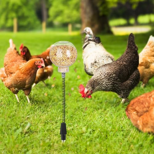 Kalekey 2 Pack Chicken Feeding Toy, Chicken Enrichment Toys with Spring and Ground Stake, Chicken Treat Dispenser Peck Toy for Hens Poultry Duck Birds Parrot Cat - size: 2 Pack