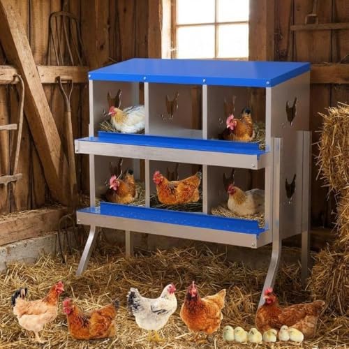 Chicken Nesting Box, 6 Compartments Roll Away Nesting Boxes for Chickens with Easy Egg Collection, Metal Chicken Laying Boxes for Hens, Wall Mounted/Floor Rollaway Laying Boxes for Protect Eggs - color: Blue with stand, size: 6 Compartment
