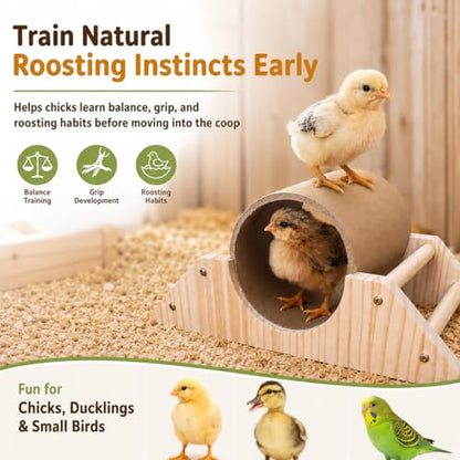 Baby Chick Perch & Tunnel Toy Set for Brooder, Chick Roosting Bar Training Toys, Chicken & Duckling Enrichment Playground, Anti-Boredom Coop Accessories for Baby Chicks Ducks Small Birds
