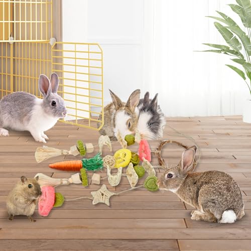Jorewood Rabbit Chew Toys Bunny Cage Hanging Toy and Treats Rattan Ring with Snacks for Rodent Pets Teeth Healthy - size: 1 count