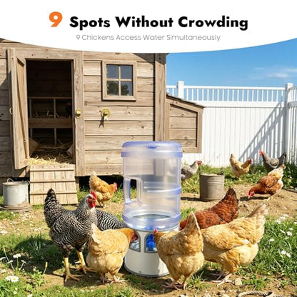 Chicken Water Heater 5 Gal, Heated Poultry Waterer Bowl for Ducks Geese | 80W Adjustable Temperature 32-122°F, Stainless Steel with LED Display & 9 Drinking Windows for Outdoor Livestock