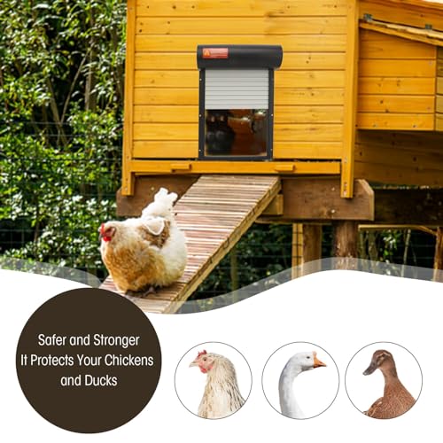 Automatic Chicken Coop Door, Solar Powered Timer Control with LED Display for Poultry Safety Duck Goose Farm, Metal Plastic Construction (Black) - color: Black