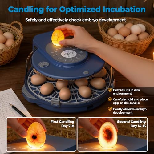 15 Egg Incubator for Hatching Eggs, 5 Preset Incubation Modes + 1 Custom Mode with Adjustable Temperature & Humidity Control, Automatic Egg Turning for Duck, Chicken, Goose, Pigeon & Quail