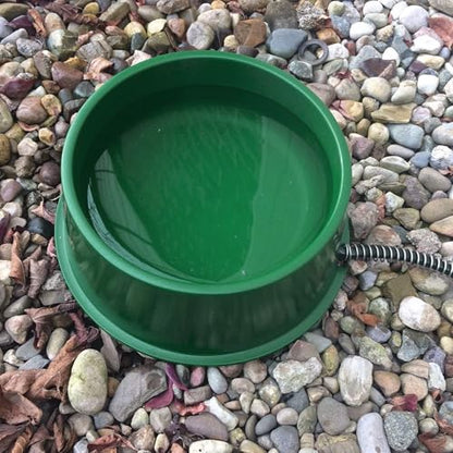 Farm Innovators QT-1 1 Quart Electric Heated Pet Water Bowl with Thermostatic Control and Anti Chew Cord Protector, 25 Watt, Green (2 Pack) - size: 1 Qt