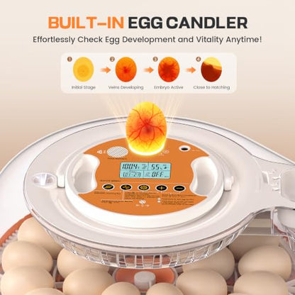 26 Egg Incubators for Hatching Eggs with Smart Voice Control & Two Interchangeable Egg Trays for Needs- Auto Turner, Temp/Humidity Control, Egg Candler for Chicken Duck Quail