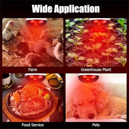 250W Infrared Heat Lamp for Chicken, Red Heat Light Bulb R125 1 Pack, Heat Lamp Bulb for Chick Croop, Reptiles, Pets, Food - size: 1PCS