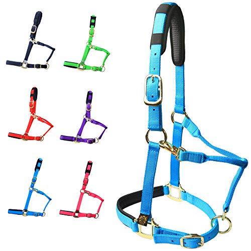 T TEKE Adjustable Horse Halters by Heavy Duty Soft Nylon, Padded with Anti-rubbing Waffle Neoprene on Both Crown & Nose - color: Blue, size: S Pony