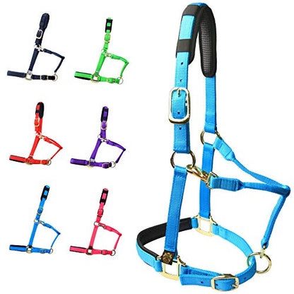 T TEKE Adjustable Horse Halters by Heavy Duty Soft Nylon, Padded with Anti-rubbing Waffle Neoprene on Both Crown & Nose - color: Blue, size: Cob (M)