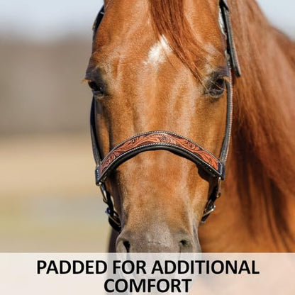 Schneiders Double S Tooled Leaf Padded Leather Ranch Halter for Horses | Elegant Design & Custom Fit for Your Horse - size: Full Horse