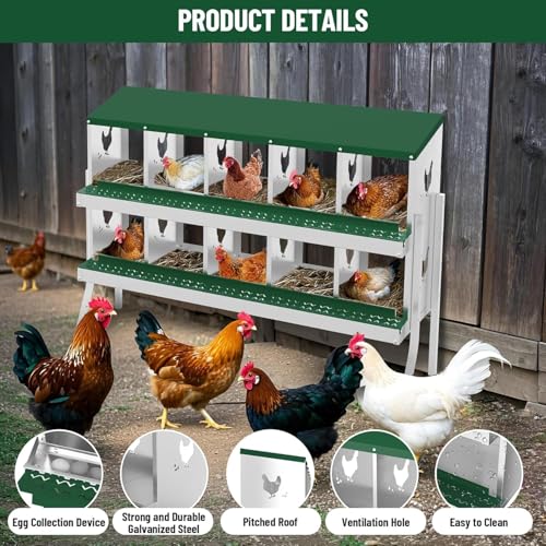 TrailBlaze 10 Compartment Chicken Nesting Box with Metal Legs, Chicken Egg Laying Boxes with Rollout Egg Collection, Large Vented Holes Chicken Coop for Chickens, Hens (Green) - color: Green, size: 10 Holes with Legs
