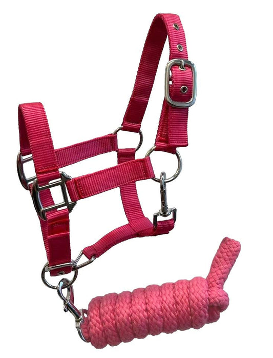 Pony Size Nylon Halter with Removalbe 7' Lead (Pink) - color: Pink