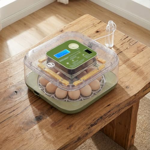 12 Egg Incubator w/Automatic Turning, LED Candling, Digital Temperature & Humidity Display, Fahrenheit LCD, for Chicken Eggs, US Standard 110v, Poultry Incubator, Mini Egg Incubator, Egg Hatching Kit