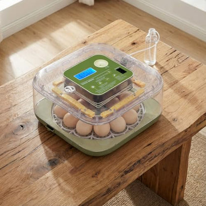 12 Egg Incubator w/Automatic Turning, LED Candling, Digital Temperature & Humidity Display, Fahrenheit LCD, for Chicken Eggs, US Standard 110v, Poultry Incubator, Mini Egg Incubator, Egg Hatching Kit