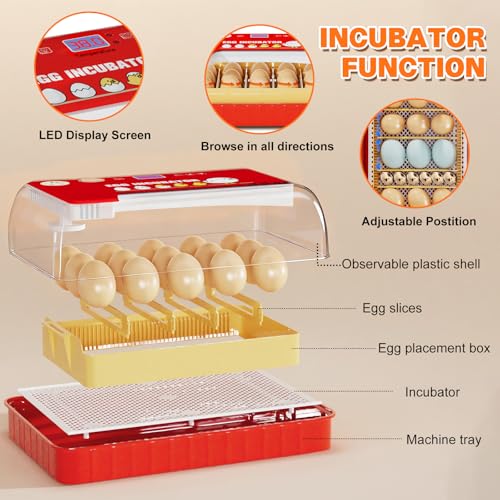 Incubators for Hatching Eggs 15-35 Eggs Incubator with Automatic Egg Turning and ℉Temperature Display LED Candler Poultry Incubator for Hatching Chicken Duck and Quail Incubator (Red)