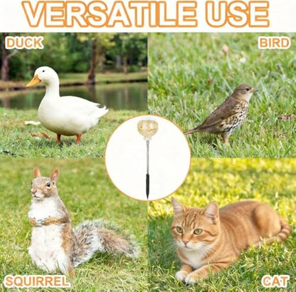 2 Pack Chicken Toys Chicken Peck Toy, Chicken Swing Feeder with Spring and Ground Stake, Enrichment Toys for Coop, Coop Accessories for Hens Poultry Duck Birds Parrots, Transparent