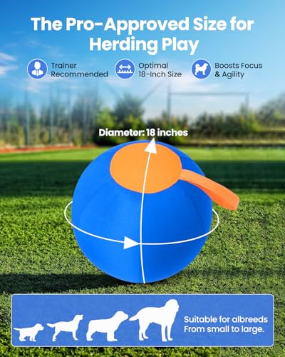 Herding Ball for Dogs