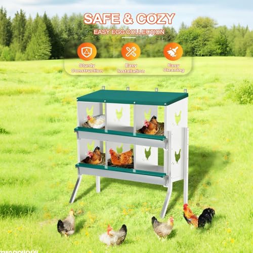 Wall Mounted Chicken Nesting Box – Weather Resistant Galvanized Steel Poultry Nest with 10 Absorbent Pads & 4 Fake Eggs, Egg Roll-Away System & Protective Lid for Coop, Barn, Backyard Hen House - size: 6 Room&Mat eggs