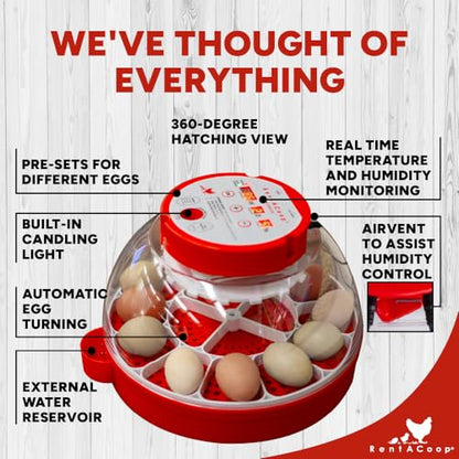 RentACoop 16-Egg Smart Incubator – App Controlled, Auto-Turn, Built in Candling Light Perfect for Chickens, Ducks, and Quail!