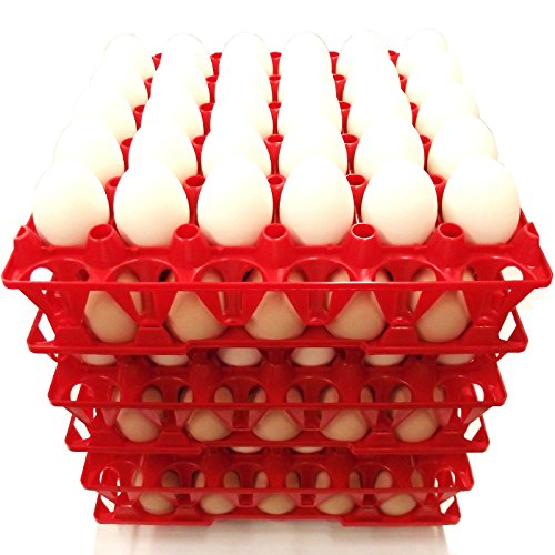 24 30 Egg Poly Chicken Trays Shipping Carton Poultry Flat