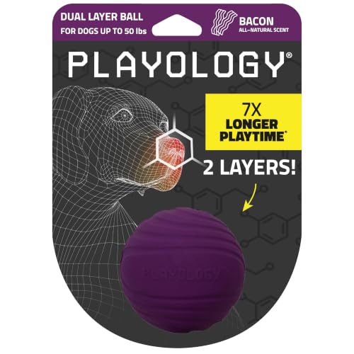 Playology Dog Toys | Dual Layer Ball Durable Chew Toy for Tough Chewers | Bacon Scented Medium Dog Toy | Chew Toys for Dogs - size: Medium, style: Bacon
