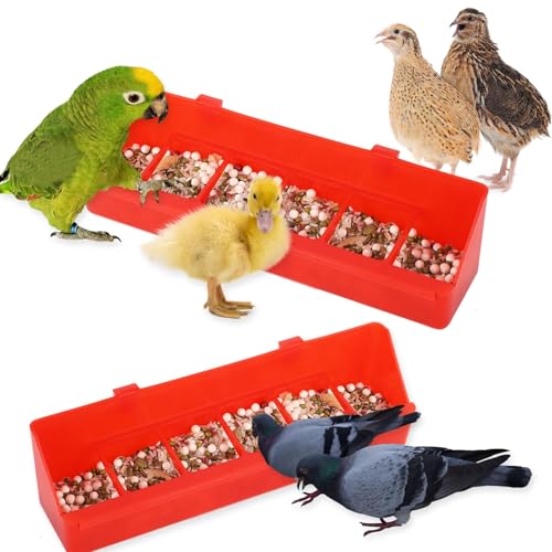 4 Pack No Mess Quail Feeder Removable 6 Slots Hanging Chicken Feeder Trough Water Trough for Pigeon Parrots Chicks Quail Duck Bird Poultry Animal - color: Red