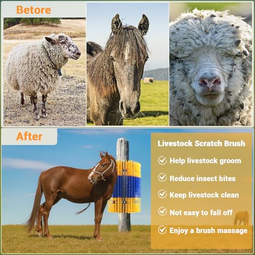 3PCS Heavy-Duty Livestock Scratching Brush, Wall-Mount Grooming & Back Scratch Brush for Horse, Cow, Goat, Pig - Easy Mount Durable Animal Brushes for Pasture, Barn & Stable - color: Blue-yellow