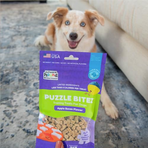 Outward Hound by Nina Ottosson Puzzle Bitez USA Made Dog Treats, Apple Bacon Flavor, Bite-Sized Training Reward and Interactive Puzzle Toy Treats, 7.5oz - size: 7.5 Ounce (Pack of 1), style: Apple Bacon