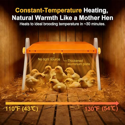 Chicken Coop Heater, Briidea 80W Chicken Heater with 110–130℉ Constant Heat, Energy-Efficient, Adjustable Height & Angle, 10 PET Cleaning Film, Mother-Hen-Like Comfort, 10" x 10" for 15 Small Poultry - color: Cross support