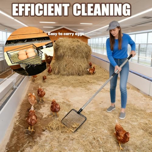 Chicken Poop Scooper & Rake, 3 in 1 Chicken Coop Scoop 23" to 42" Adjustable, Durable Metal Sifting Litter Shovel, Chicken Coop Accessories for Chickens Coop, Small Farm Animals, Cat Litter