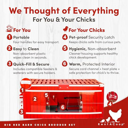RentACoop Big Red Barn Chick Brooder Set with Heating Plate and Anti-Roost Cone, Two Chick Feeders, Two Chick Drinkers, Swing, Hatchling Liners, Jute Liner, LED Light, Security Latch
