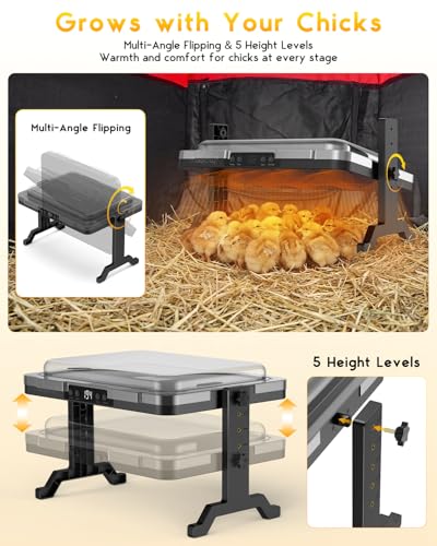 Brooder Plate for Chicks, Magicfly 200W Adjustable Chick Brooder Heater with Temp & Timer, UL-Compliant Safe Design, Radiant Brooding Box Coop Warmer with Remote Control & Cover for Ducklings Poults