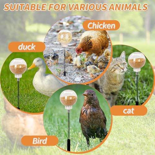 Chicken Peck Toy，Interactive Slow Feed Release Toy for Foraging，Chicken Swing Feeder Coop Accessories Reduce Boredom and Feather Pecking for Hens, Geese, Ducks, Turkeys