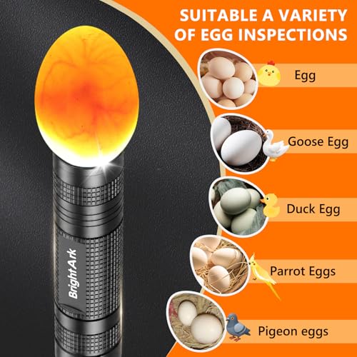 Egg Candler for Chicken Eggs, Rechargeable Bright Cool Light Egg Candler Tester for Chicken Duck Eggs, Handheld Egg Light for Incubators, Farm & Home Use