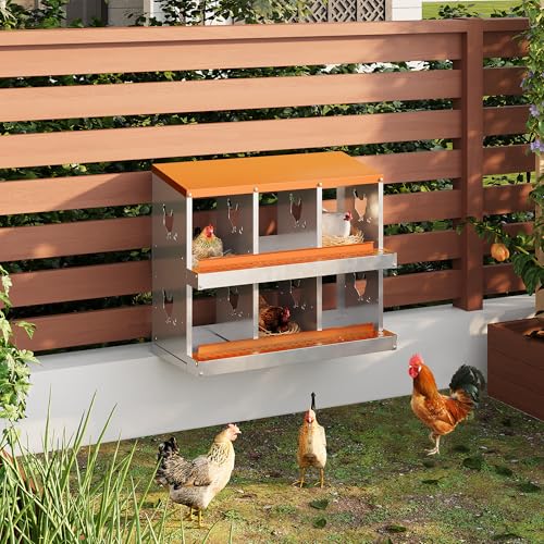 Chicken Nesting Box,6 Compartments Galvanized Steel Metal Chicken Laying Box with Roll Out Egg Collection,Wall Mount Chicken Nesting Boxes,Easy Egg Collection, Hen Roosting Boxes - color: Orange, size: 6 Holes