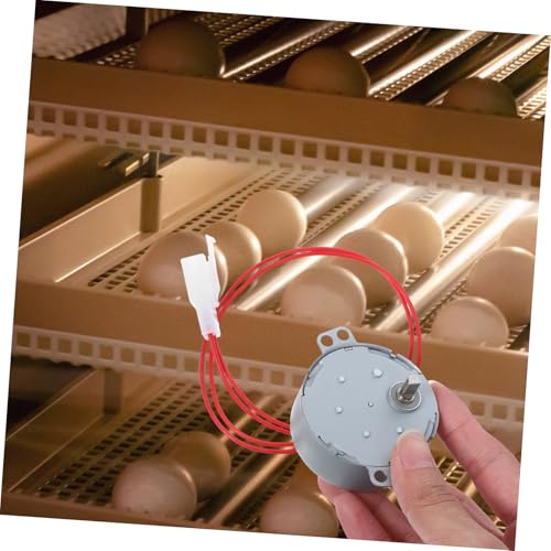 Toddmomy Convenient Egg Incubator Motor Practical Motor Part Energy-efficient for Quail and Chicken Eggs Incubation